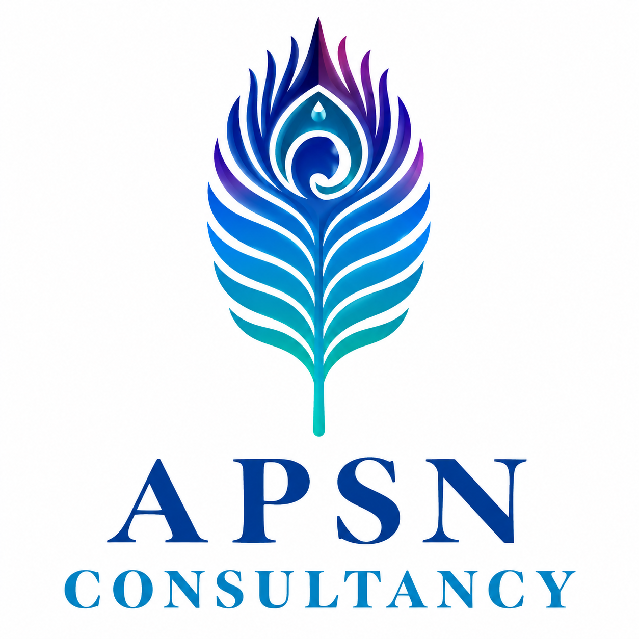 APSN Consultancy Logo